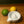 Load image into Gallery viewer, Lemon Juicer