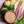 Load image into Gallery viewer, Takaki Kouji Shoten Miso, shio koji and amazake set